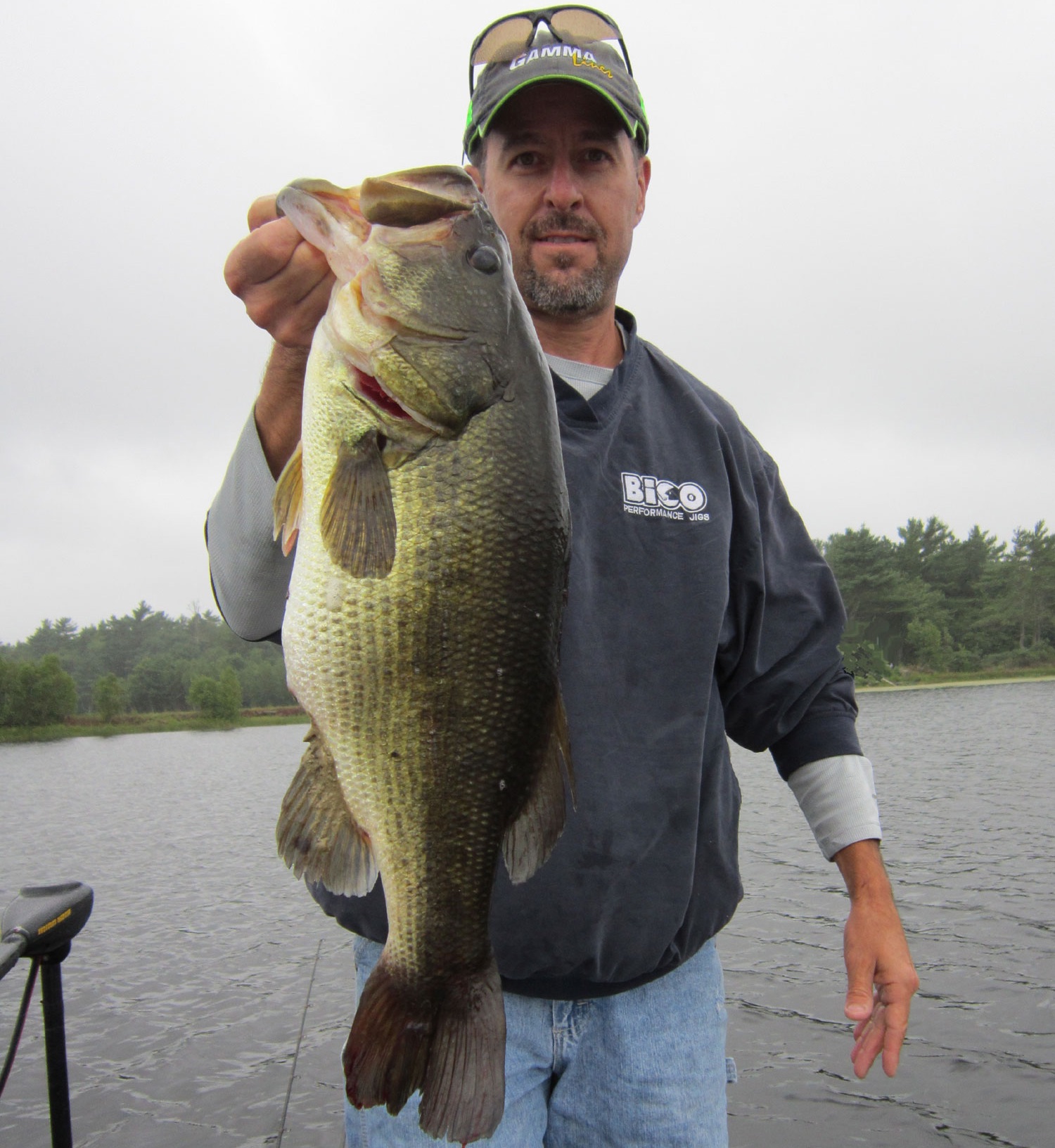 Fishing Jigs Puts You But A Hop, Skip And Jump Away From Catching Big Bass